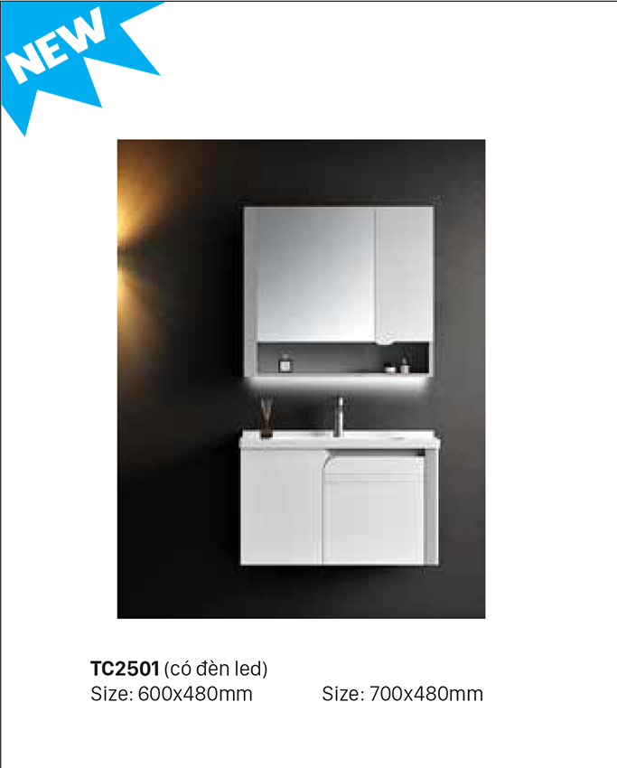 Tủ chậu Bancoot cao cấp có đèn led sang trọng TC2506-80
